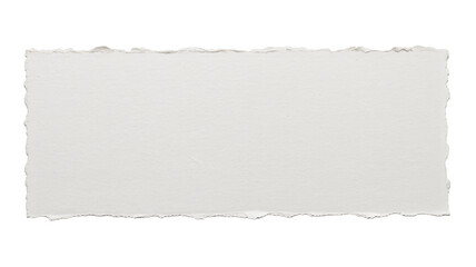 Fototapeta premium Torn paper edge in distressed texture with soft gray tone on white background for scrapbooking