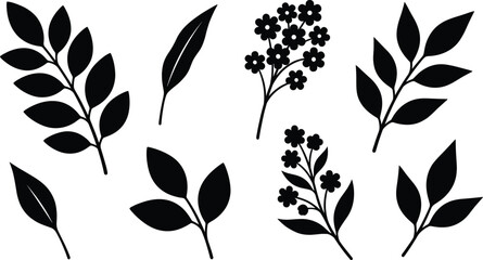 Botanical leaf silhouettes set, floral branch elements collection, minimalist nature design icons, black vector illustration isolated on white background clean