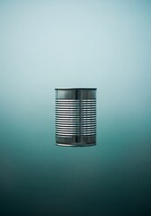 Steel food preservation, featuring a can of food in an isolated view
