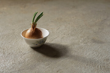 Sprouting onion bulb in a white ceramic bowl on a textured cement floor. High-angle shot showing green shoots, perfect for gardening and growth-related content