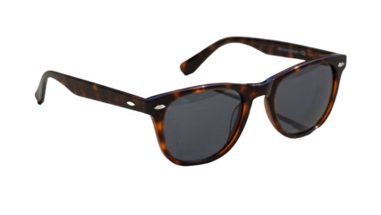 Timeless tortoiseshell wayfarer sunglasses with dark tinted lenses, classic retro fashion accessory for men and women, background removal, isolated subject.
