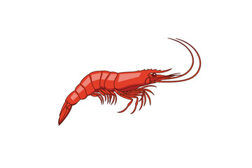 Vibrant Red Shrimp Illustration on White Background.