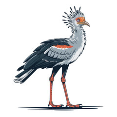 Secretary bird
