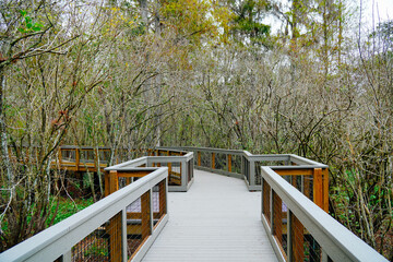 Winter Landscape of Hillsborough river at Lettuce lake park