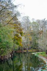 Winter Landscape of Hillsborough river at Lettuce lake park
