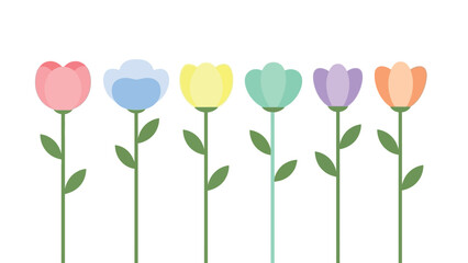 Colorful tulips vector illustration on white background