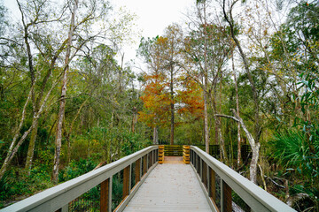 Winter Landscape of Hillsborough river at Lettuce lake park