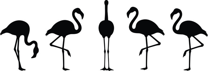 Bird silhouettes, flamingo posture, visual puzzle, odd one out, comparison concept, black shapes, white background, minimal design, vector birds, cad drawing flat vector illustration © Asia