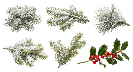 A collection of pine tree branches with snow on them.