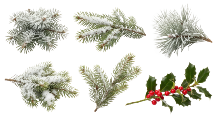 A collection of pine tree branches with snow on them.