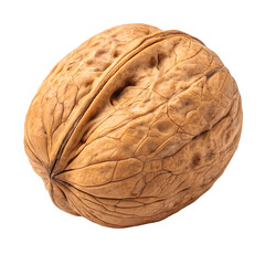 Obraz premium Single whole walnut in its textured shell, healthy organic snack and baking ingredient, background removal.