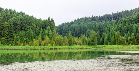 Volcanic lake surrounded by lush green forest in Sete Cidades, Sao Miguel, Azores. Reflection of trees and sky on the water's surface. Calm and tranquil natural setting in Portugal, Europe.