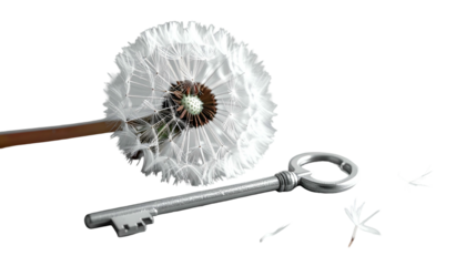 Dandelion head with key, seeds scattering on black ground, gentle