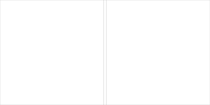 2x1 grid line with gutter layout for minimal horizontal composition