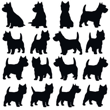 Collection of West Highland White Terrier Silhouettes.