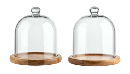 Two glass cloches on wooden base, with knob handles on a dark background