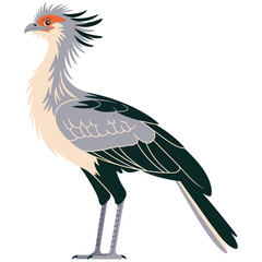 Secretary bird