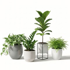 Obraz premium Assortment of modern potted houseplants with lush green foliage perfect for enhancing interior design home decor or office aesthetics