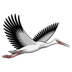 stork in flight