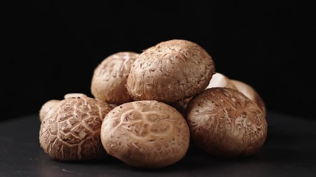 Shiitake mushrooms (Lentinus edodes) on black background