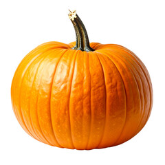 Fototapeta premium Fresh ripe orange pumpkin vegetable isolated on white background for autumn harvest, Halloween decoration, and Thanksgiving seasonal food