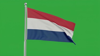 Dutch flag waving on silver pole against green background