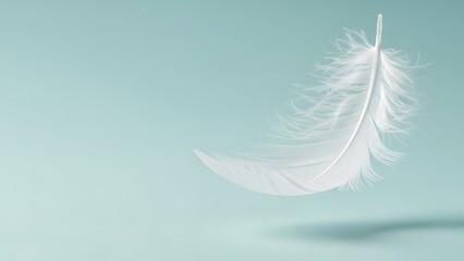 Feather Softness Gentle Lightweight Plume Purity Fluffy Lightness Harmony