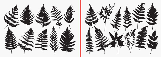fern leaf silhouettes vector, botanical fern clipart, tropical leaf svg, plant foliage illustration, nature leaf graphics, black fern silhouettes, jungle plant vector art, forest leaf design, botanica © Geetaroy