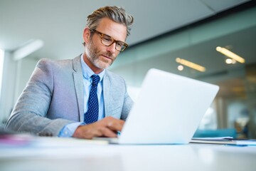 mature businessman working on laptop