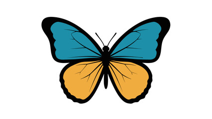 Obraz premium Colorful Butterfly with Blue and Yellow Wings.