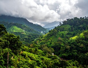 Fototapeta premium Verdant mountain range shrouded in clouds. Lush green forest and valleys under a moody sky