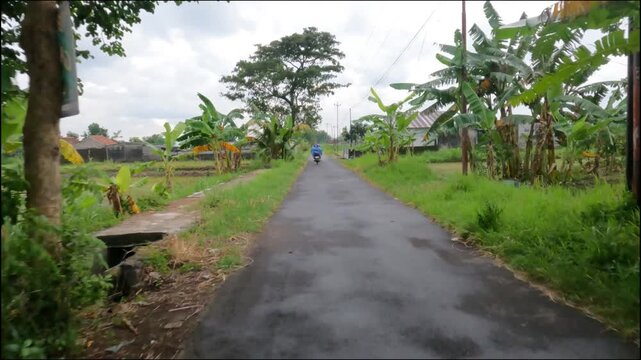 POV Motorcycle Riding: Java, Indonesia, South East Asia: POV Motorbike Ride Through Green Agricultural Landscape