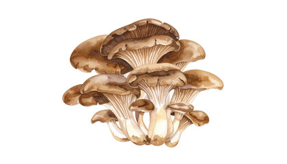 きのこの株、一株丸ごとの水彩画イラスト