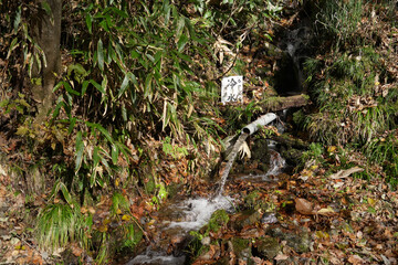 岩手県_葛巻町江刈_外川川沿い