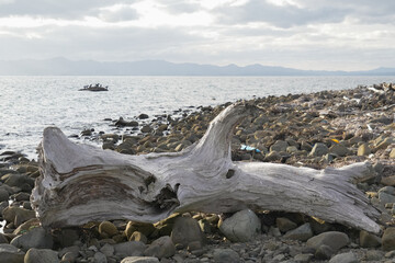 青森県_夏泊半島_大島