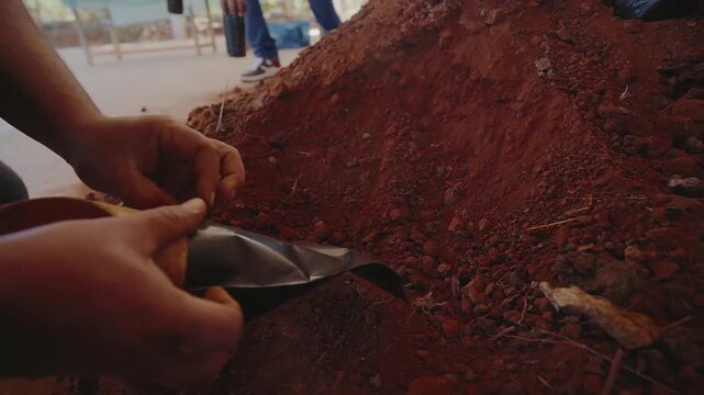Hand-mixing of red Cerrado soil with organic substrates to prepare seedbeds that mimic natural growing conditions.