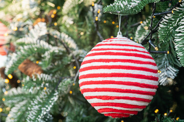 Close-up of a Christmas tree with a ball