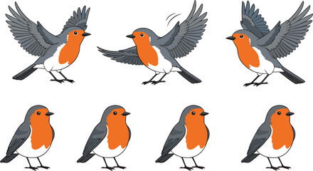 European robin bird vector set with flying and sitting poses isolated on white backgroundEuropean robin bird vector set with flying and sitting poses isolated on white background