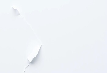 Jagged edges of a white paper scrap, showing fibers and light texture,  broken,  sharp