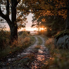 Obraz premium Serene autumn landscape with winding dirt road at sunset