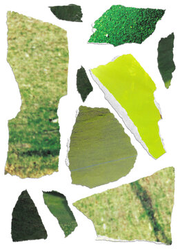Green texture torn edges from vintage magazine cut out pages transparent background