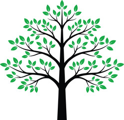 Obraz premium Green tree illustration, eco nature symbol with leaves, sustainable environment concept, botanical silhouette isolated on white background vector design artwork