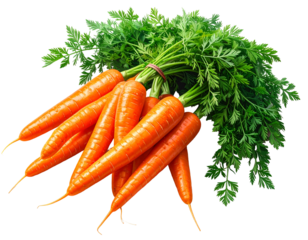 Fresh bunch of vibrant orange root vegetables with leafy green tops