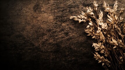 Dried feathery wheat stalks arranged on a textured dark stone surface representing harvest and agriculture