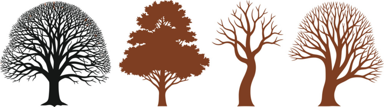 Stylized Tree Quartet in Black and Brown &ndash; Botanical Silhouettes of Seasonal and Structural Diversity