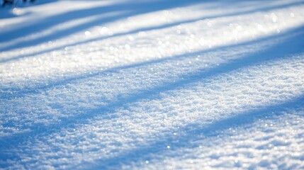 Snowy landscape reflecting sunlight outdoors on a cold winter day
