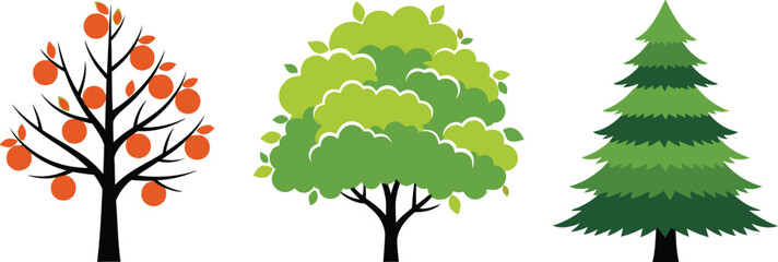 Stylized Tree Trio with Fruit, Foliage, and Evergreen Forms – Botanical Diversity Illustration for Seasonal and Species Design