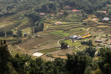 Beautiful rice fields on a cloudy afternoon on the outskirts of Sapa, Vietnam
