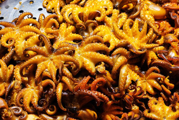 Close up of Fried Baby Octopus as Thai Street Food.