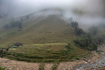 Beautiful rice fields on a cloudy afternoon on the outskirts of Sapa, Vietnam